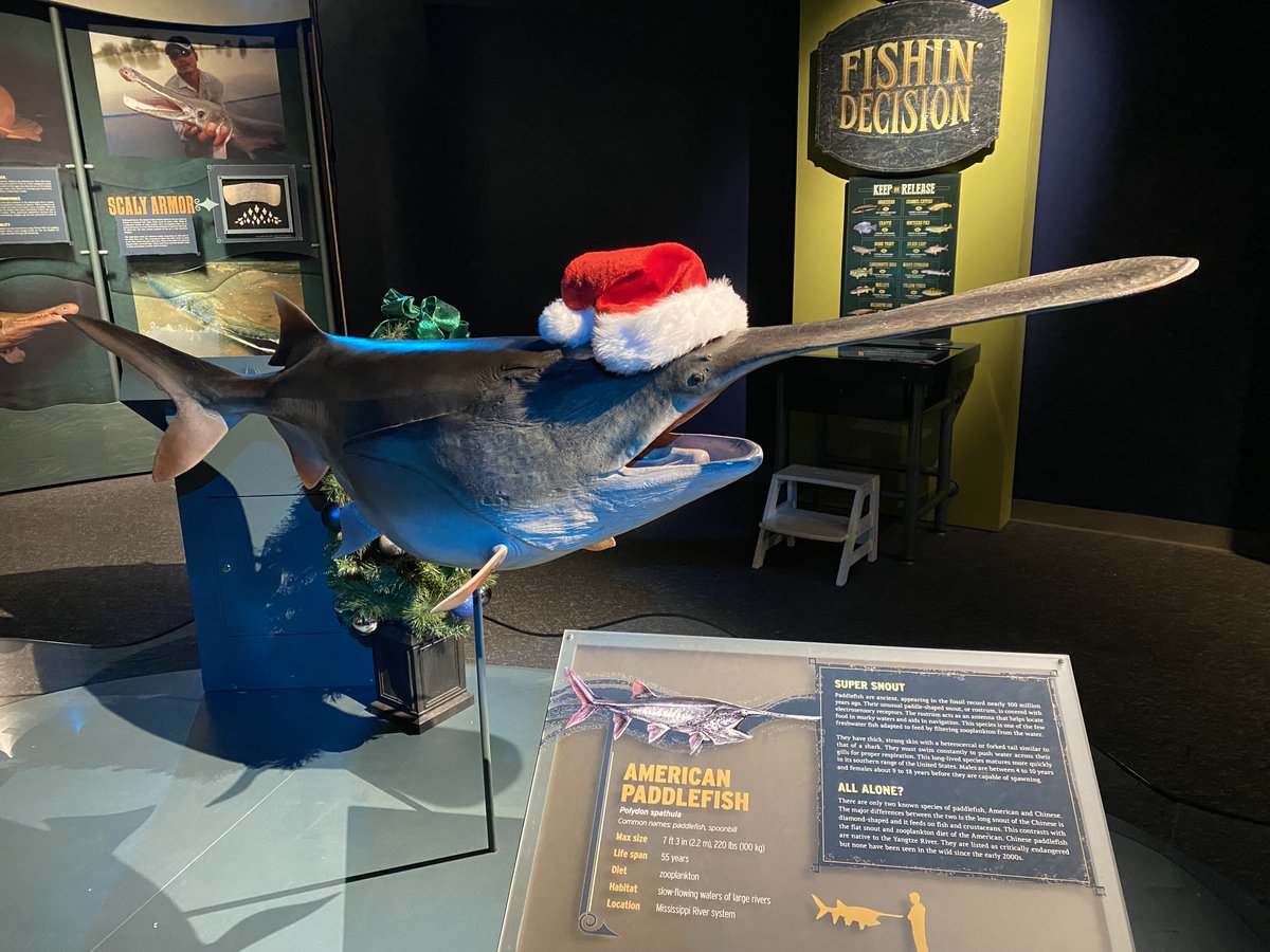 Witte Museum ~ Nature, Science & Culture tweet media