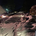 ツイートに含まれる画像