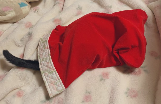 私と妹が子供の頃 サンタさんがプレゼントを入れてくれていた巨大靴下 