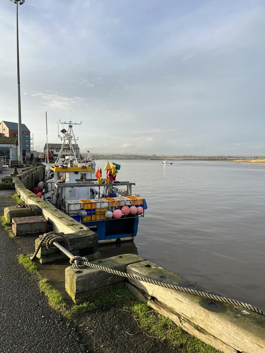 Rosyhardy62's tweet photo. It’s time for fish and chips we are at Amble @RobHardyPlants #foodstop #seaside https://t.co/qe2om57Lb4