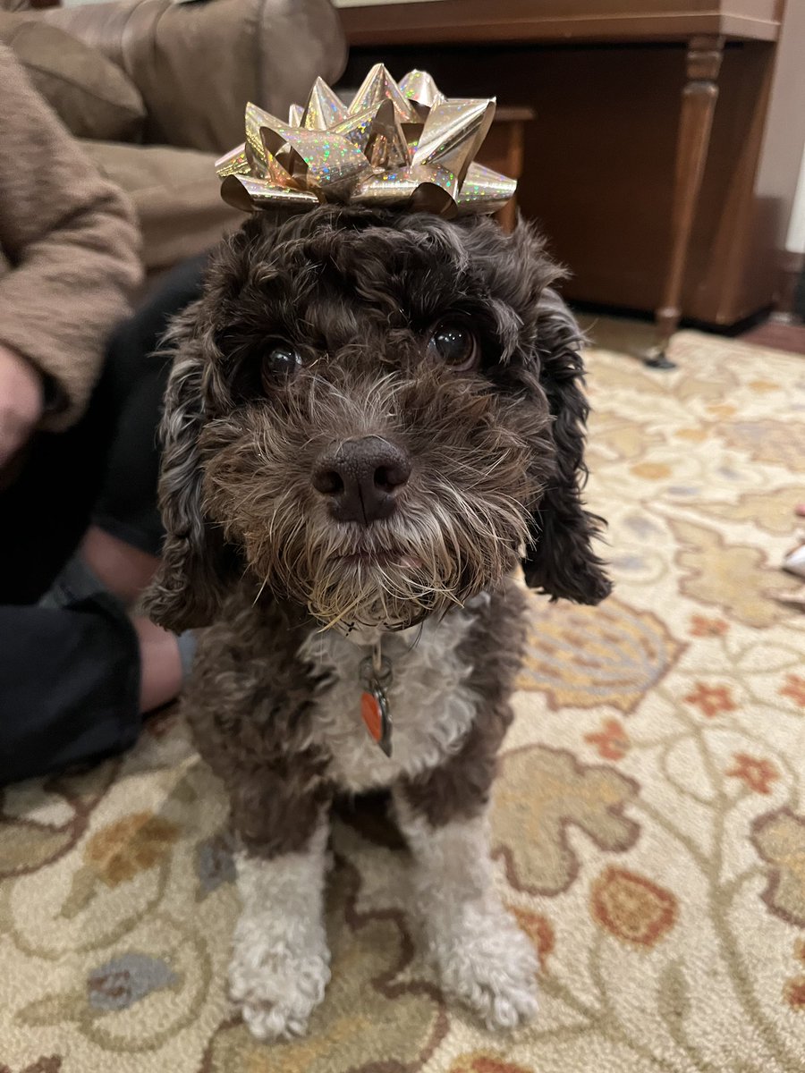 Meaghan Walker tweet media