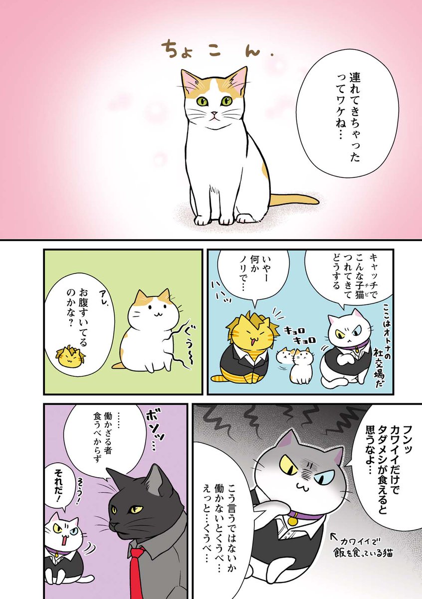 ネコのホストの新猫研修①
#漫画が読めるハッシュタグ 