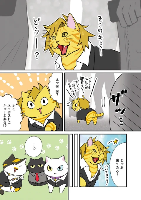 ネコのホストの新猫研修①
#漫画が読めるハッシュタグ 