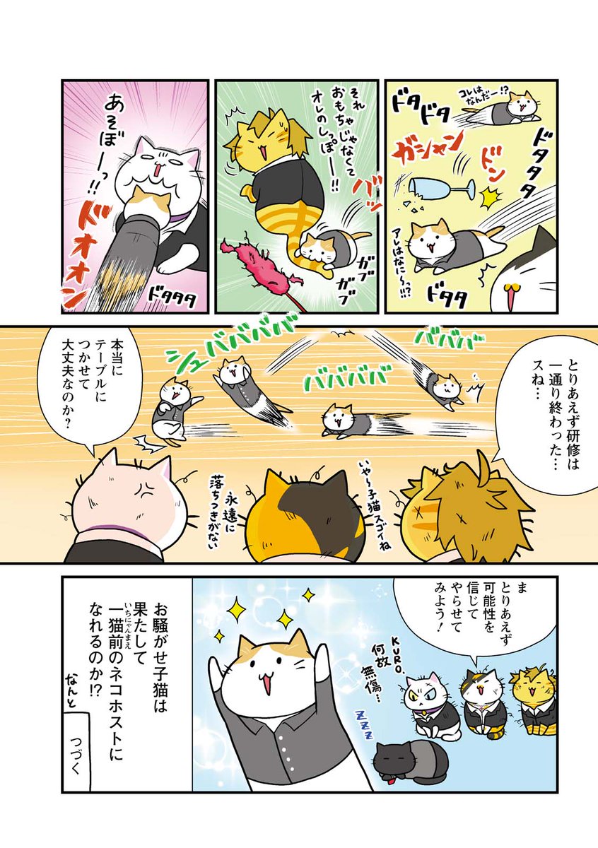 ネコのホストの新猫研修②
#漫画が読めるハッシュタグ 