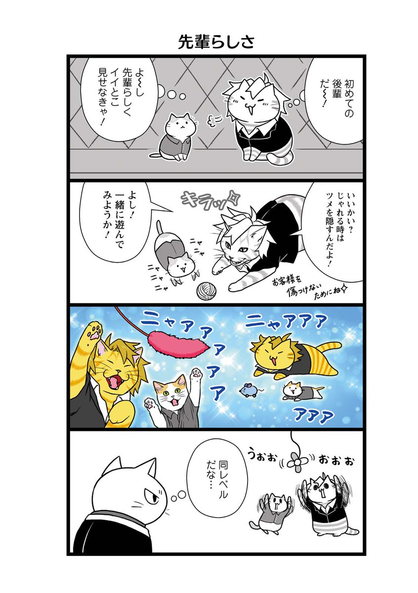 ネコのホストの新猫研修②
#漫画が読めるハッシュタグ 