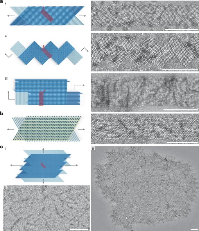 DNA_Nanotech's tweet image. Multi-micron crisscross structures grown from DNA-origami slats
nature.com/articles/s4156…