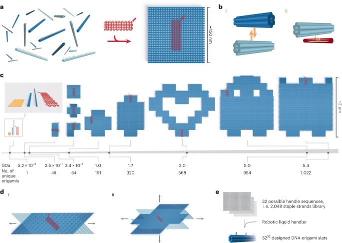 DNA_Nanotech's tweet image. Multi-micron crisscross structures grown from DNA-origami slats
nature.com/articles/s4156…