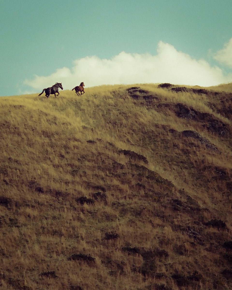 Louis Lepron tweet media