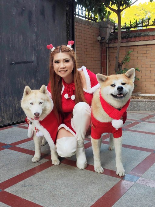 This years "🎄Christmas Card🎄"😅  (They're not kissing that would be weird, they're siblings, just a little<a href="/tag/happyholidays"class="tags"><span>#happyholidays</span></a><a href="/tag/%E0%B8%AA%E0%B8%B8%E0%B8%82%E0%B8%AA%E0%B8%B1%E0%B8%99%E0%B8%95%E0%B9%8C%E0%B8%A7%E0%B8%B1%E0%B8%99%E0%B8%84%E0%B8%A3%E0%B8%B4%E0%B8%AA%E0%B8%95%E0%B9%8C%E0%B8%A1%E0%B8%B2%E0%B8%AA"class="tags"><span>#สุขสันต์วันคริสต์มาส</span></a><a href="/tag/%E5%9C%A3%E8%AF%9E%E5%BF%AB%E4%B9%90"class="tags"><span>#圣诞快乐</span></a><a href="/tag/%D1%81"class="tags"><span>#с</span></a>