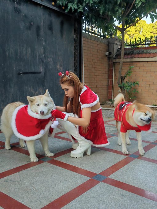 This years "🎄Christmas Card🎄"😅  (They're not kissing that would be weird, they're siblings, just a little<a href="/tag/happyholidays"class="tags"><span>#happyholidays</span></a><a href="/tag/%E0%B8%AA%E0%B8%B8%E0%B8%82%E0%B8%AA%E0%B8%B1%E0%B8%99%E0%B8%95%E0%B9%8C%E0%B8%A7%E0%B8%B1%E0%B8%99%E0%B8%84%E0%B8%A3%E0%B8%B4%E0%B8%AA%E0%B8%95%E0%B9%8C%E0%B8%A1%E0%B8%B2%E0%B8%AA"class="tags"><span>#สุขสันต์วันคริสต์มาส</span></a><a href="/tag/%E5%9C%A3%E8%AF%9E%E5%BF%AB%E4%B9%90"class="tags"><span>#圣诞快乐</span></a><a href="/tag/%D1%81"class="tags"><span>#с</span></a>