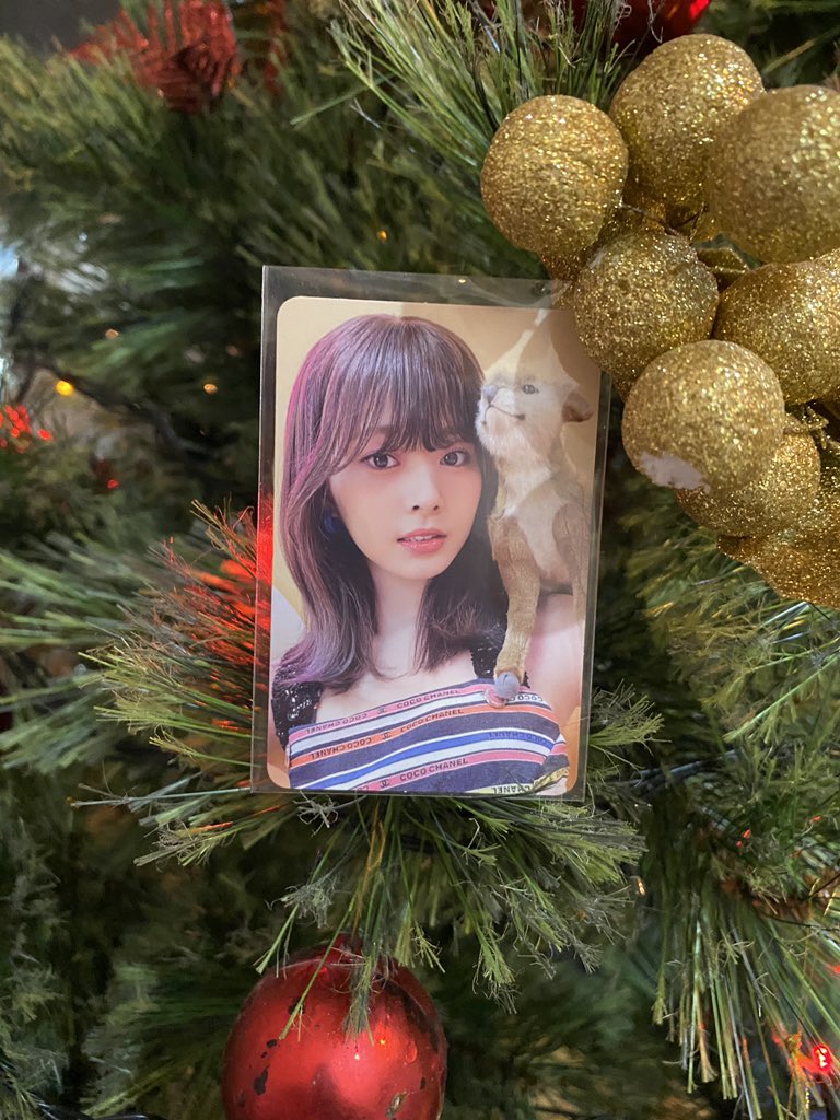 twisopi's tweet photo. [ wts lfb twice ph pc ]

♡ tzuyu b1&amp;2 archive pc -
❊ 70 php + 10 php + sf
     ♡ mint condi 
     ⤷ mop - gcash
     ⤷ mod - sco, j&amp;t, lbc
      reply/dm to claim !! ^__^

t. tzuyu twice between1&amp;2 archive pc photocard https://t.co/AXt5JOQMqB