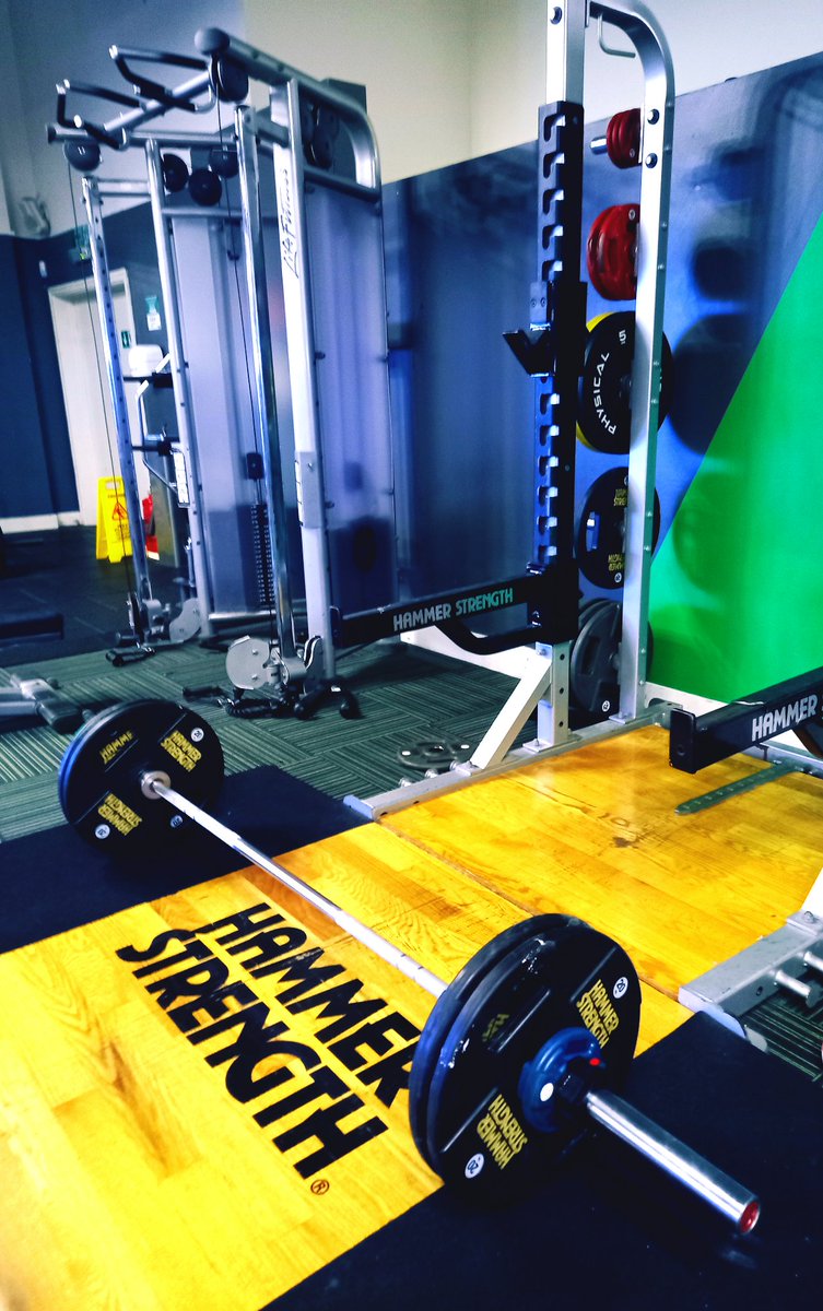 🏋‍♀️FeeBeLifts tweet media