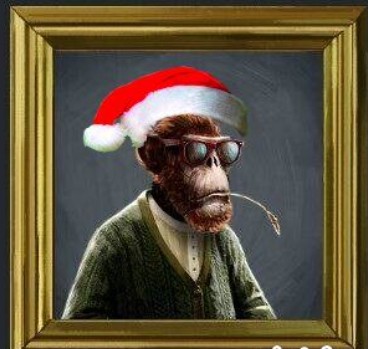 homeofmyapes's tweet photo. I wish all my @the_ape_society friends some relaxing holidays and enjoy your time with friends and ape family. 

#nft #cardano #Decentralization https://t.co/0JaHbLF5HH