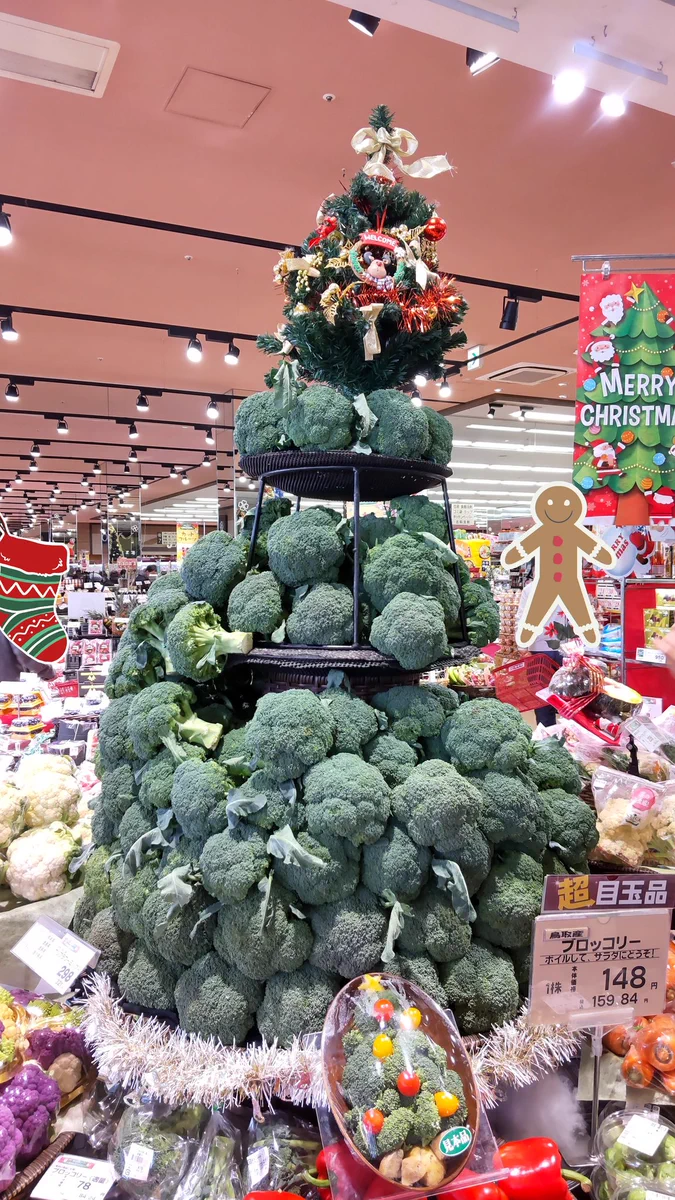 無理やり感がすごい！？ブロッコリーでできたクリスマスツリー。
