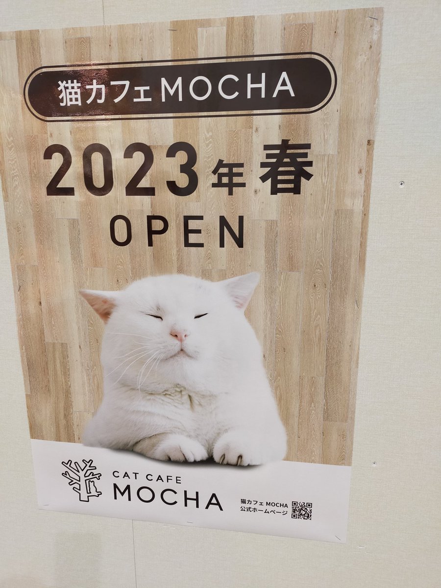 地方のイオンモールにも猫カフェか～ https://t.co/bGFNyZNk2j