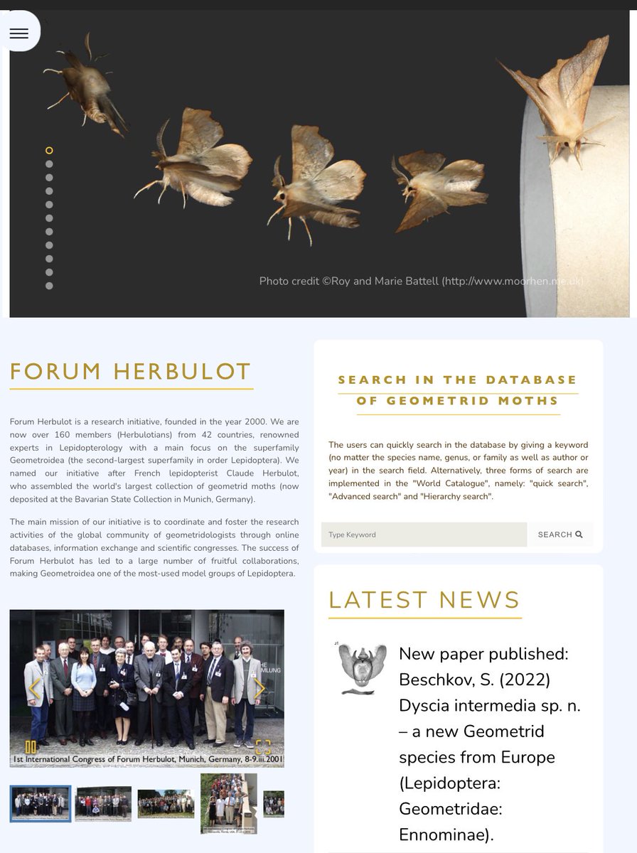 Integrative Systematics (@integsyst) on Twitter photo Fresh from the press in <a href="/IntegSyst/">Integrative Systematics</a>: “An online taxonomic facility of Geometridae (Lepidoptera), with an overview of global species richness and systematics”, presenting the brand new web resource of <a href="/ForumHerbulot/">Forum Herbulot</a> bioone.org/journals/integ… Fresh from the press in <a href="/IntegSyst/">Integrative Systematics</a>: “An online taxonomic facility of Geometridae (Lepidoptera), with an overview of global species richness and systematics”, presenting the brand new web resource of <a href="/ForumHerbulot/">Forum Herbulot</a> bioone.org/journals/integ…