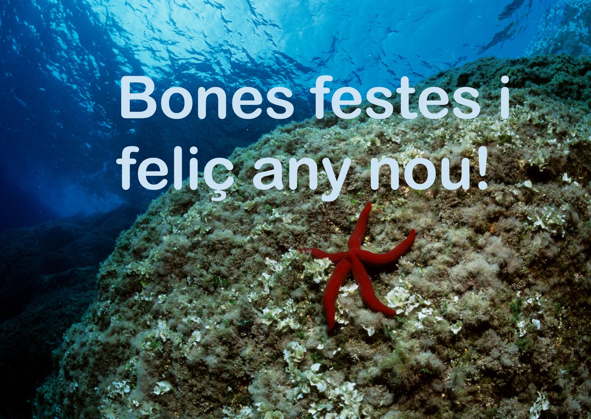 visitcabrera's tweet photo. Des d'Excursions a Cabrera, us desitgem unes bones festes i una bona entrada de l'any 2023. https://t.co/xTnut0z7cN
