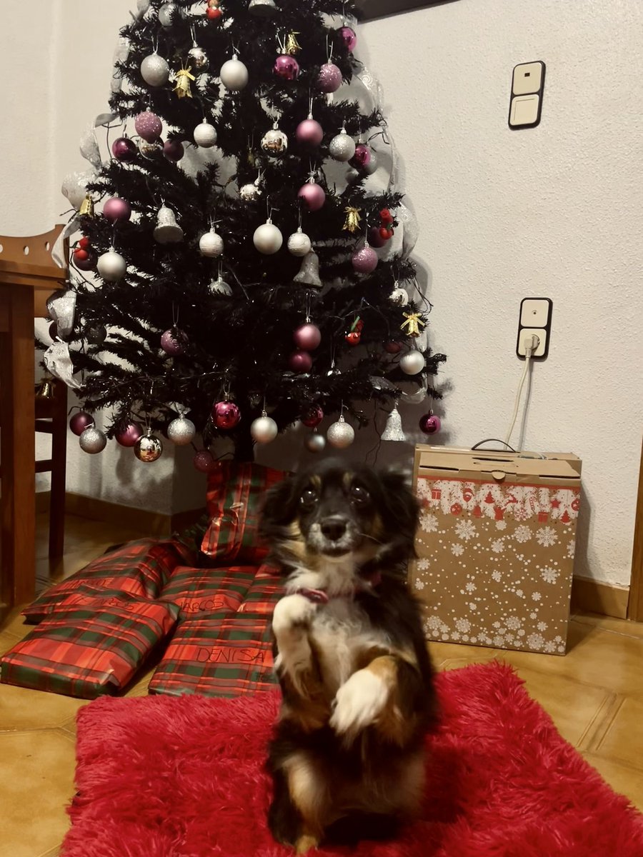 _biiii___'s tweet photo. Feliz Navidad Cuca ❤️ https://t.co/3gfRy2PJrl