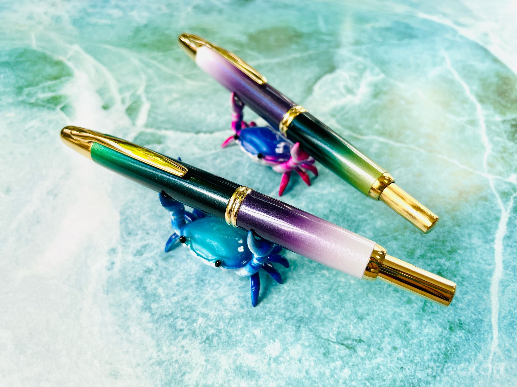 パイロット キャップレス万年筆 限定 花菖蒲 ハナショウブ細字F