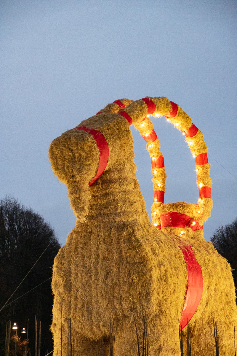 Gavlebocken's tweet photo. I want to wish you a Merry Christmas from the bottom of my straws! ❤🐐 https://t.co/srDAP7CGH1