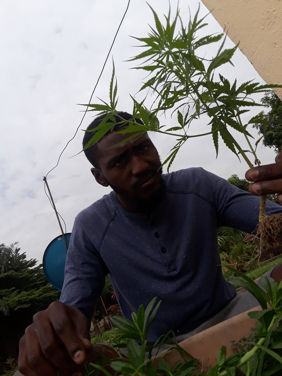 BLVCKMOH's tweet photo. 🧞‍♂️ https://t.co/fSS5XDYzYF