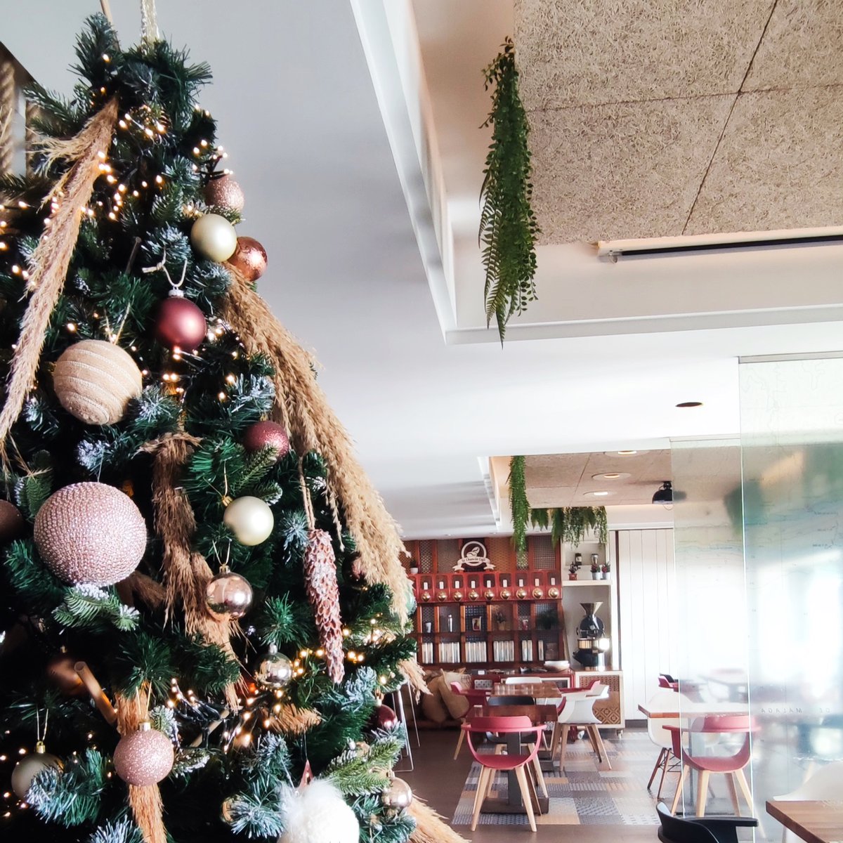 ¡Todo el equipo de La Chancla os desea🎄Feliz Navidad 🎁!