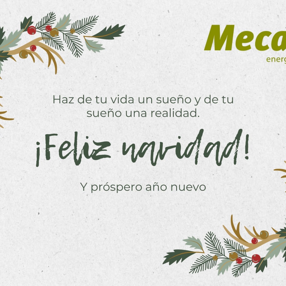 El equipo de Mecalia, S.L. les deseamos FELIZ NAVIDAD  #Mecaliasl