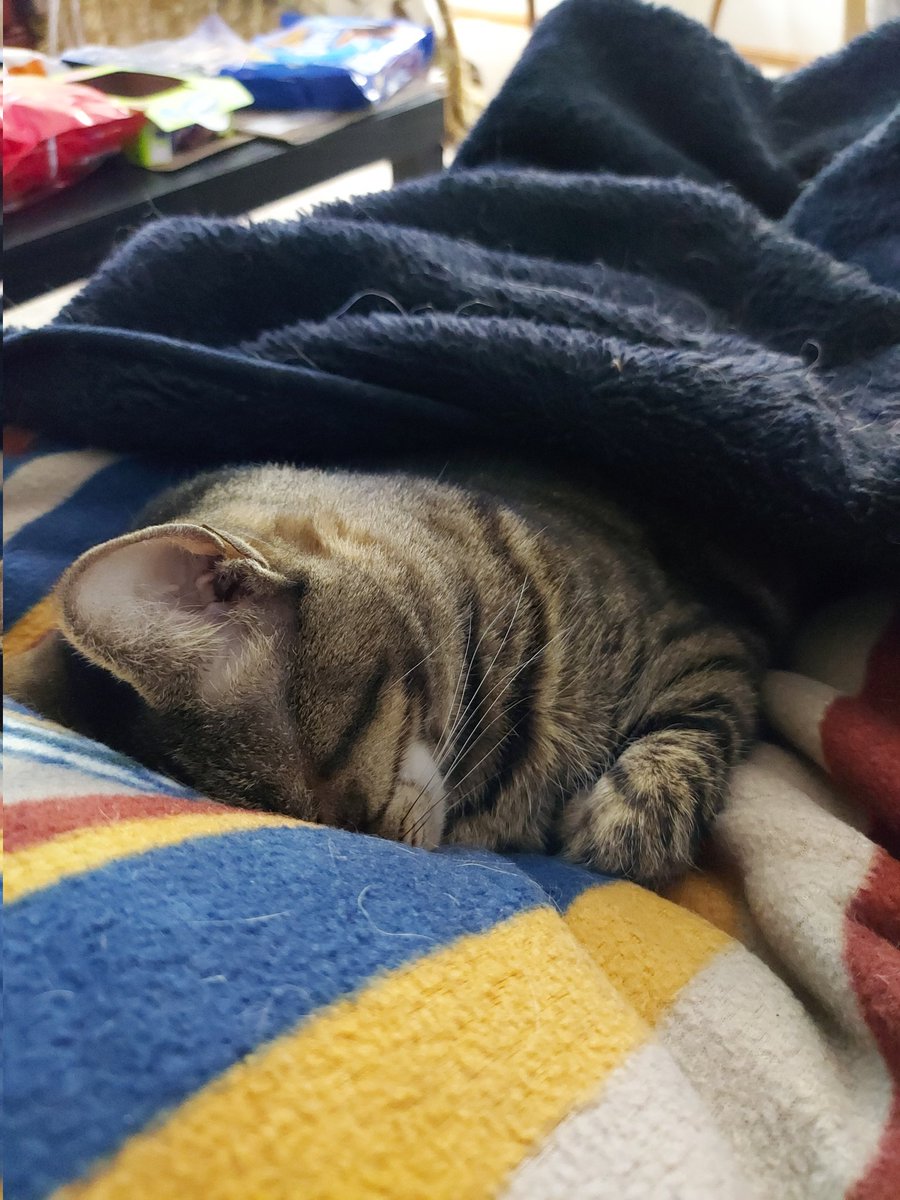 rcronebach's tweet image. FURNACE BROKEN !!!
55-yr old female #Veteran of the USAF. Unemployed, #disabled. North Cbus. Furnace won't stay on. House is freezing (50°). No family, no $$ to fix. Can someone PLEASE help ? #ChristmasMiracle