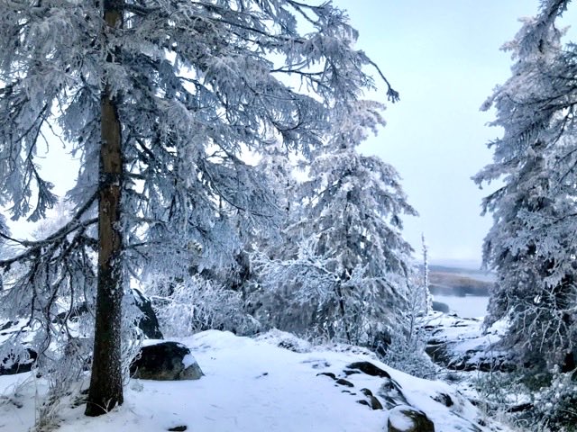 Kara Weller tweet media