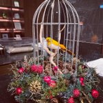 ホテルグランバッハ東京銀座 / Hotel GrandBach Tokyo Ginzaのツイート画像