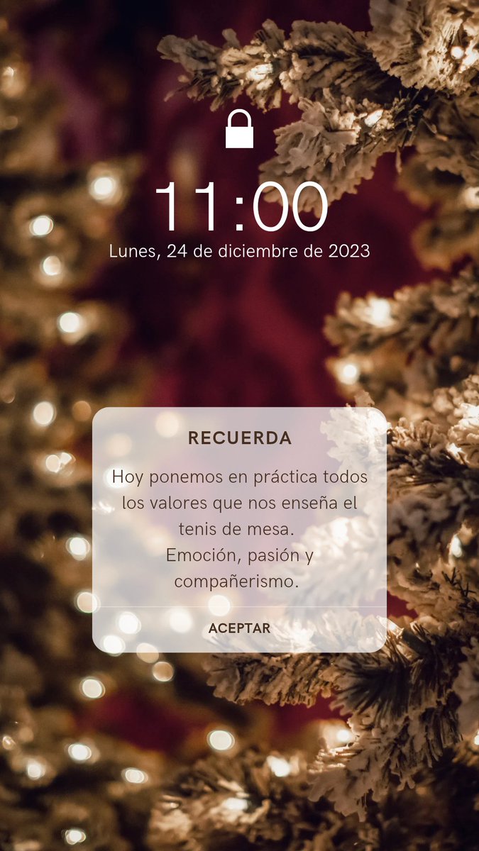 Feliz Nochebuena!!
Happy Christmas Eve!!

#vsport #vsportTT #tenisdemesa #tabletennis #shoponline #tiendaonline