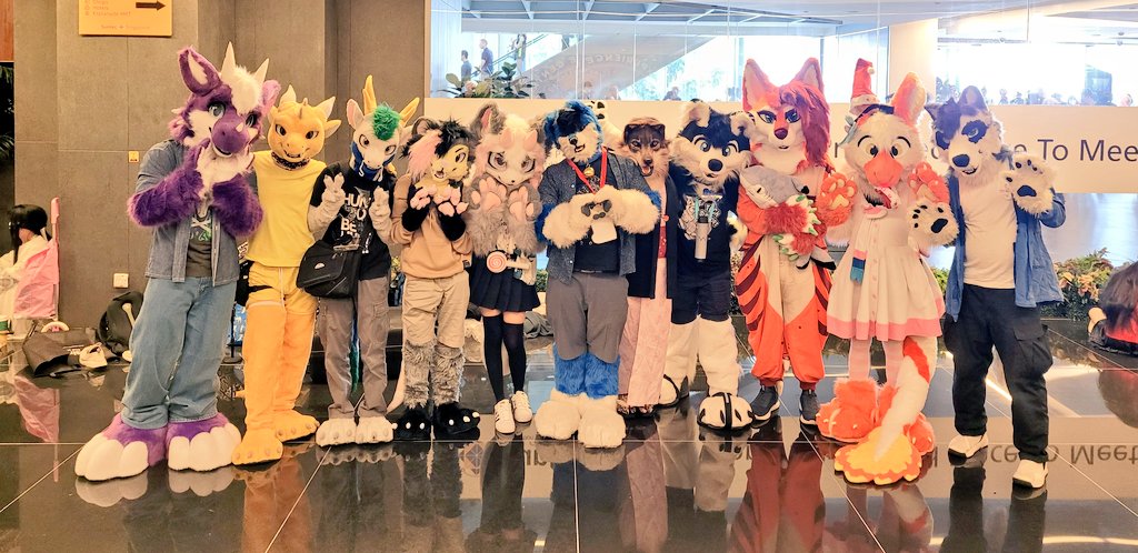Gyrowoof's tweet photo. Fuzzballs out at #EoY event today! A furmeet in a long time! To get those photography juices following agian. #SGfurs #MyFurs #CameraMeet. Thks @BraveWolf1984 for organizing! ^^ https://t.co/LbJxxKsBfx