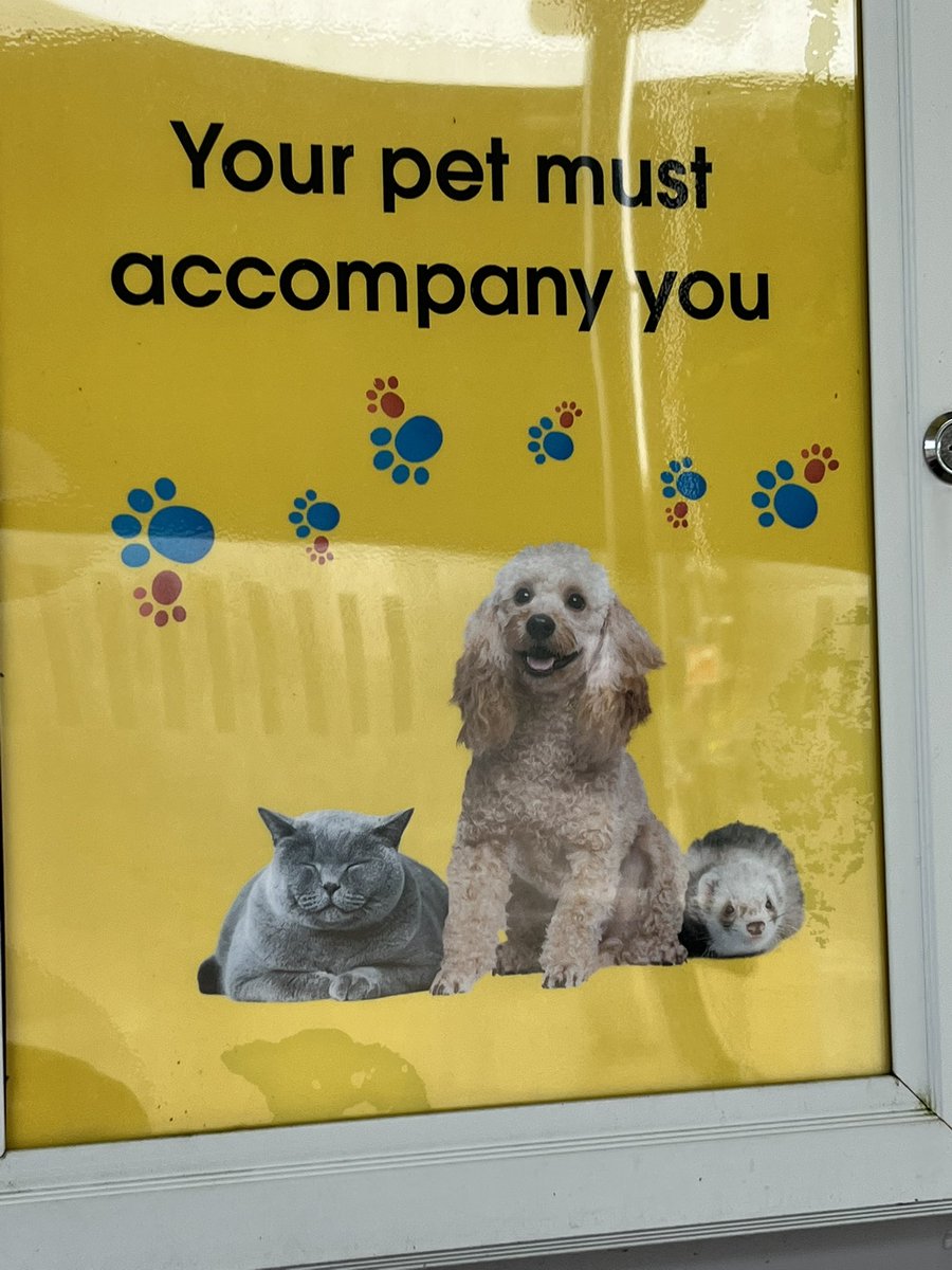 Well said, <a href="/LeShuttle/">LeShuttle</a> !! Top dog for pet travel to Paris !! Why <a href="/EurostarUK/">Eurostar UK</a> doesn’t allow even pets in carriers, I’ll never know .. 😑 #eurotunnel #petfriendlytravel #lovemydog