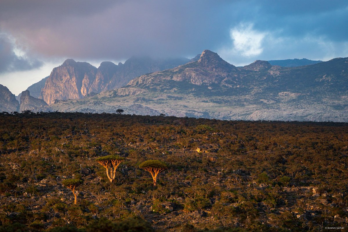 جبل دقسم، أرخبيل سقطرى، اليمن
Diksam plateau, Socotra, Yemen