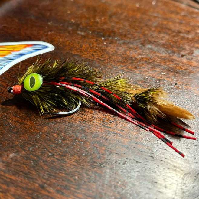 Saltwateronfly's tweet photo. Those eyes ought to attract attention
@angston_oxendine
#chickenchucker
.
.
.
#riverat #riveratflyfishing #flytyingjunkie #flyfishfood #gamechangerfly #perch #shadrap #brokeback #onthefly #flyfishingsaveslives #vicetomouth #flyfishingnation #stripset #flyfish https://t.co/UFRZ2vlKOo