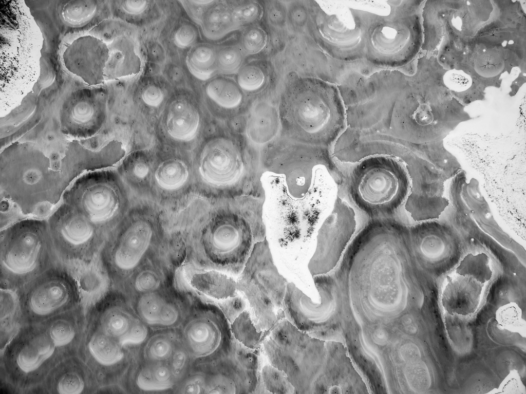 SpiritHighlands's tweet image. #SpiritSpotlight ❄️
2022 has been an incredibly exciting year for the Spirit team. Read our last Spotlight Blog of 2022 as we take a look back at the past year and have a sneak peek at what we have in store for 2023. 
Images @airbornelens #icepancake
discoverhighlandsandislands.scot/spotlight