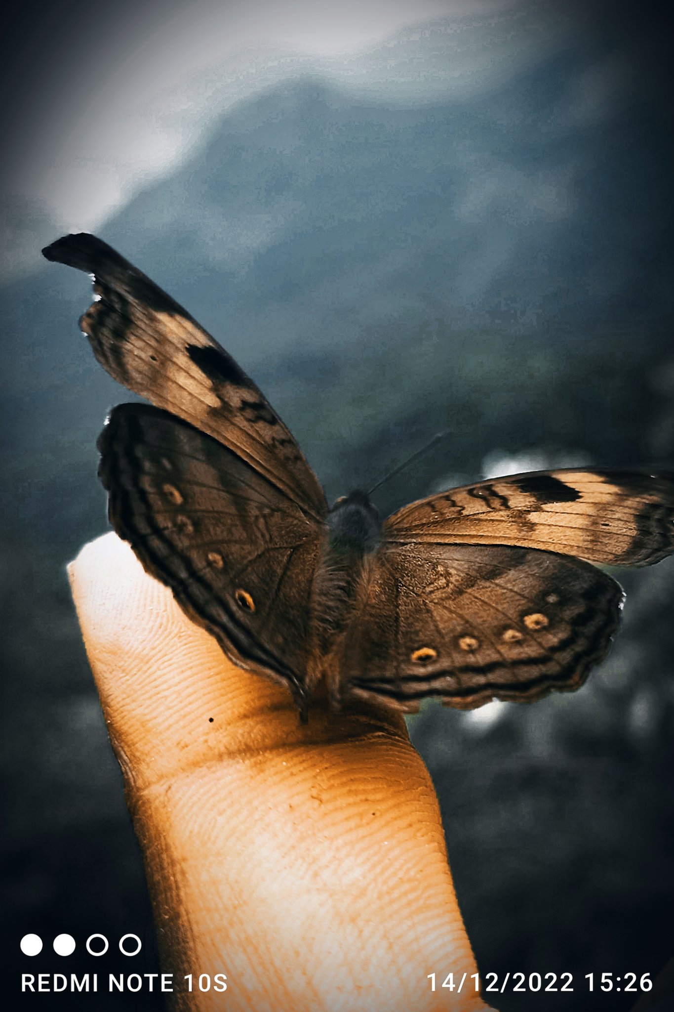 Kumaran Vijayakumar (KumaranVijayak2) / Twitter