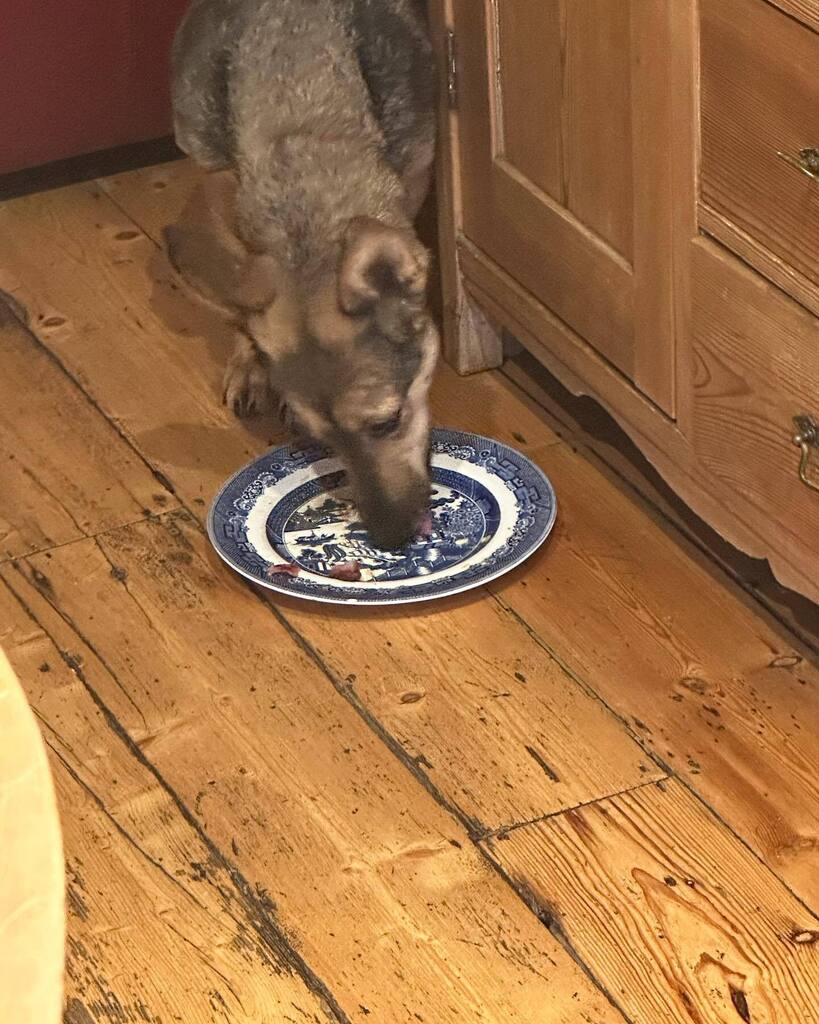 Rory Cellan-Jones tweet media