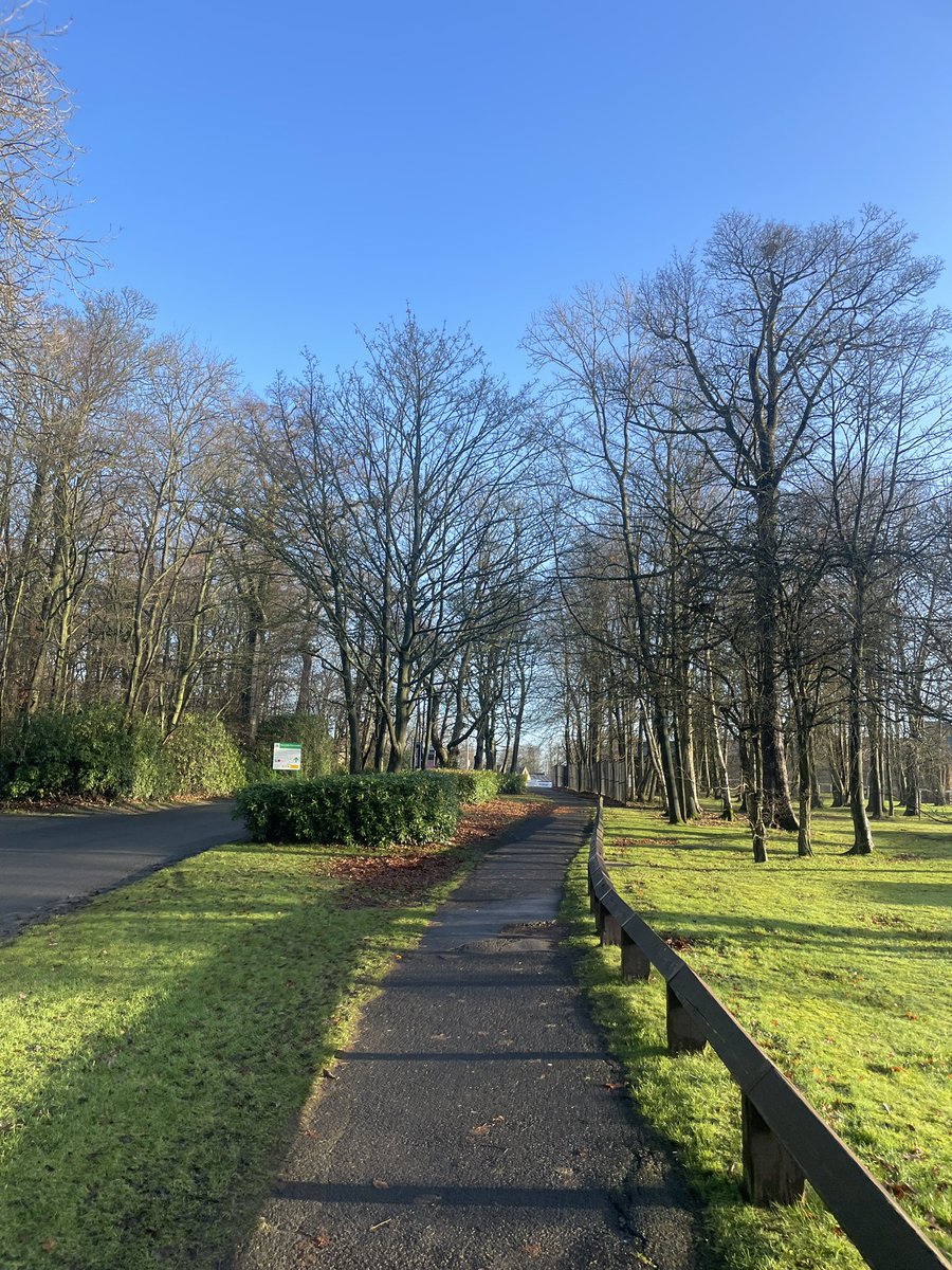 Robbie Thompson tweet media