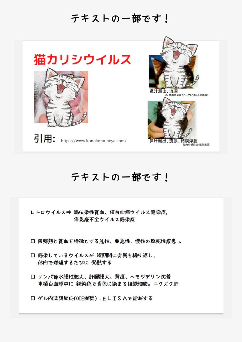 VetsIndex's tweet photo. 獣医&amp;動物看護学生のための就活サポートサービス
　　　　
▶️就活相談員が多数在籍
▶️スキルアップ術 | 勉強法 | 就活
▶️毎月定例で役立つ座談会を開催

＼かんたん！無料で！すぐできる／
『国試向けウイルス疾患まとめ📖』を
プロ���から無料でプレゼント🎁 https://t.co/cXVc7Wq2mC