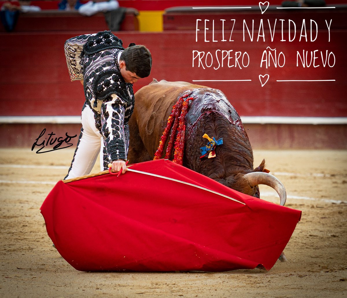 InfoMSenent's tweet photo. Feliz navidad a todos! 🎄 

#miguelsenent 
#miguelito https://t.co/0V1DGZ1BvW