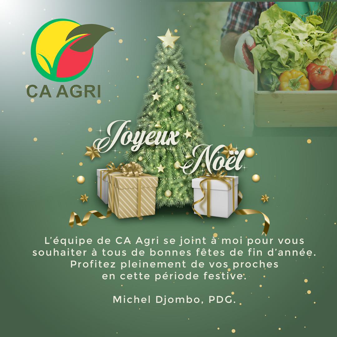 🌲🌲🌲 Bonnes fêtes 🌲🌲🌲