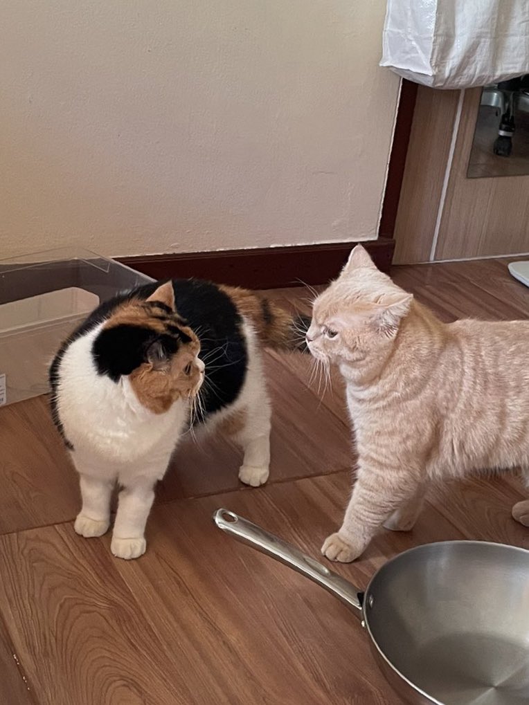 <a href="/yayee2548/">บีมกับน้องๆ</a> พี่ว่าแม่หมายถึงป้องน่ะ