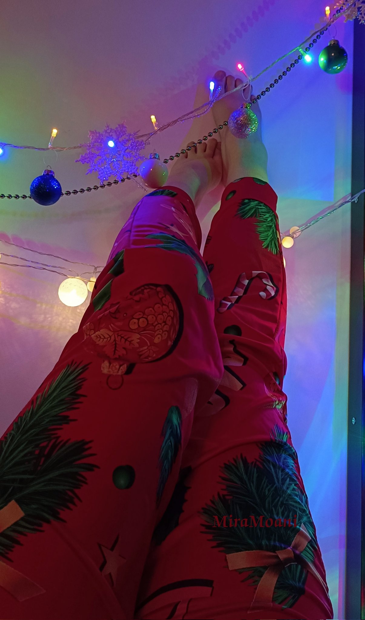 Merry Christmas🎄 https://t.co/iu8TYfnqpn