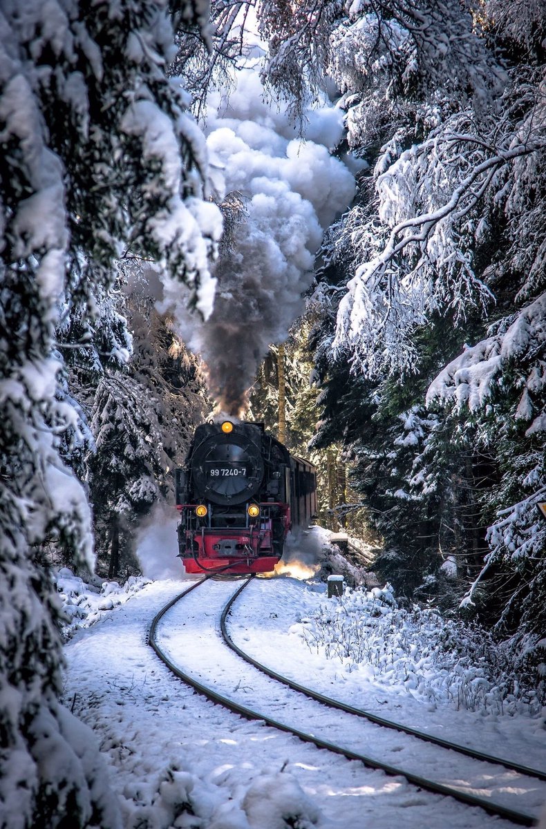 JeanetteEliz's tweet photo. Good Morning Everyone. 😊🎄Have a beautiful weekend. 💞🌺💕 https://t.co/YyTOe6wgdf