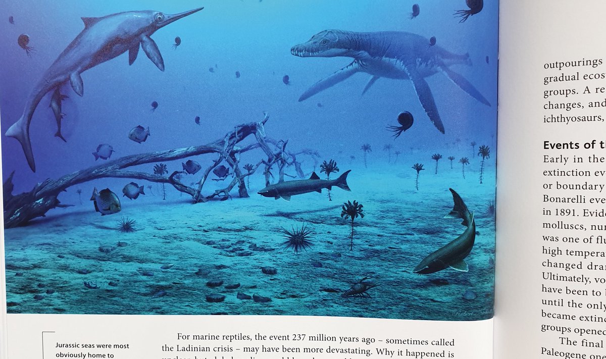 TetZoo's tweet photo. Several images in the book are by the UK's premiere palaeoartist Bob Nicholls @Paleocreations ... #palaeoart #paleoart #books #AncientSeaReptiles https://t.co/xZeOds94Zv