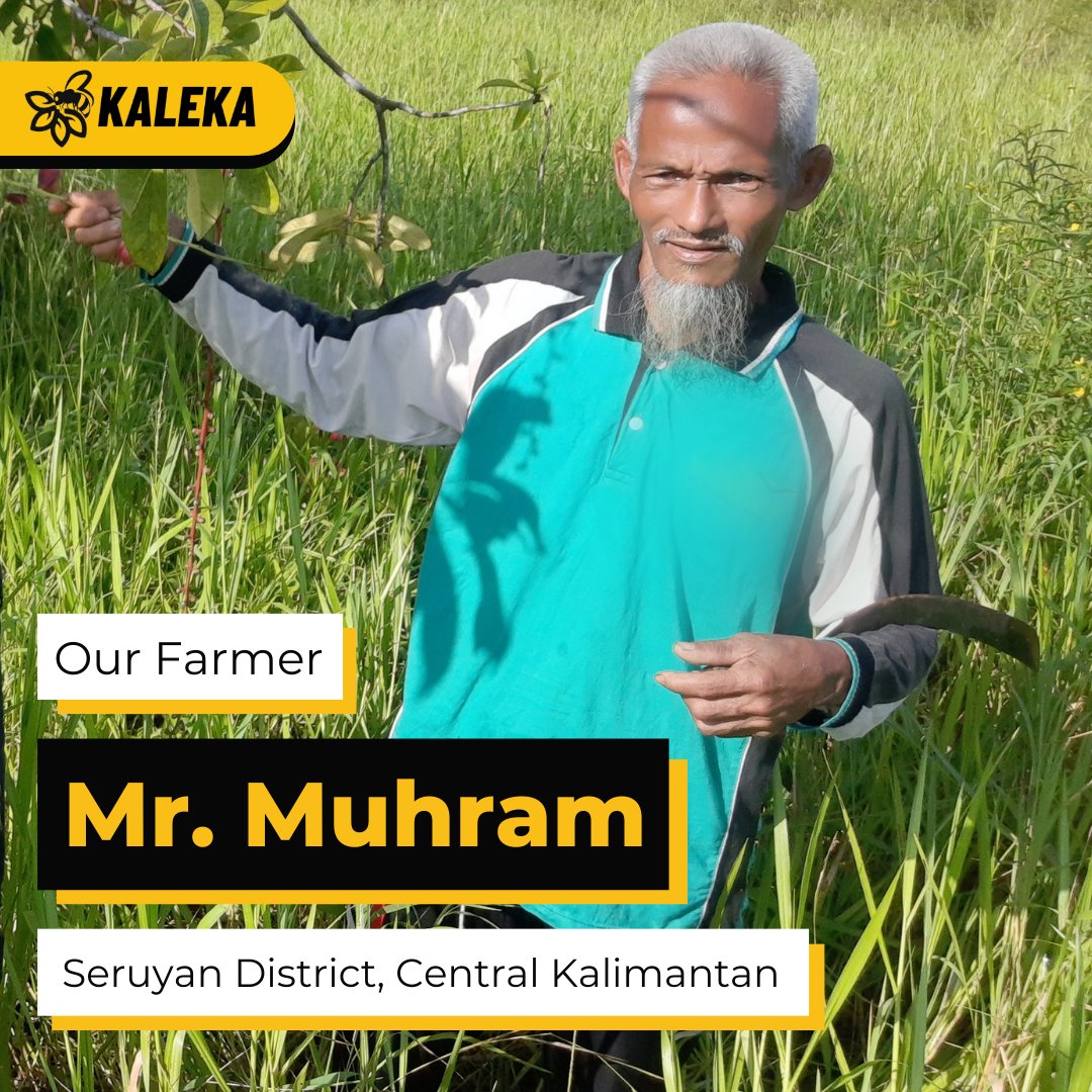 kalekaindonesia's tweet photo. 🌳Meet Our Farmer - Mr. Muhram, Central Kalimantan🌲

The sadness brought about by the 2015 forest fire led community leader Mr. Muhram to call on his neighbors to join the movement in restoring their forest. 🧵1/3
 
#Kaleka #TransitiontoExcellence #RealizingSustainability https://t.co/C7S5oPHqGq