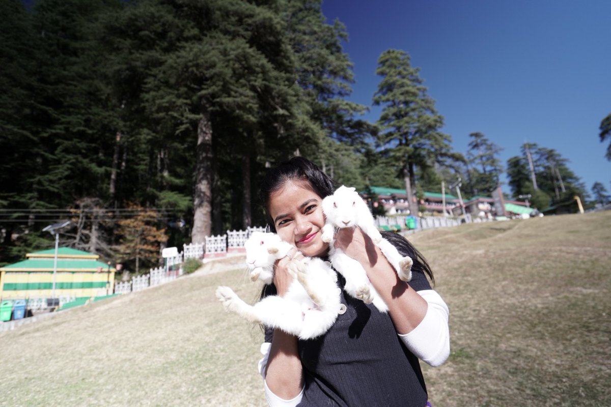 monikakushwaha's tweet photo. Khajjiar, Mini Switzerland of India is a beautiful scenic place. Mesmerizing in the morning. 

Check out drone views -
👇
https://t.co/2Z3Y0s5ZWf

#dalhousie #miniswitzerlandofindia #khajjiar #travelvlog #travel #traveling  #WINTER #khajjinag #himachal #Himalaya #MOUNTAIN https://t.co/6YylVPYzPh