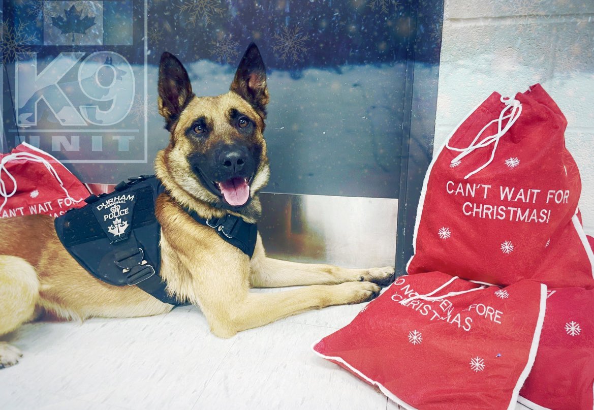 DRPS_K9's tweet photo. 💥THANK YOU TAGS💥
Kathy from @tagsinfo made a visit to the K9 Office to wish our Handlers a Merry Christmas &amp; drop off customized K9 Gift bags for all 10 Hounds! These annual Gift Bags contain Kongs, Treats &amp; lots of surprise K9 Goodies.
Thank You Kathy &amp; TAGS.
Merry Christmas! https://t.co/JesZQtIXgY