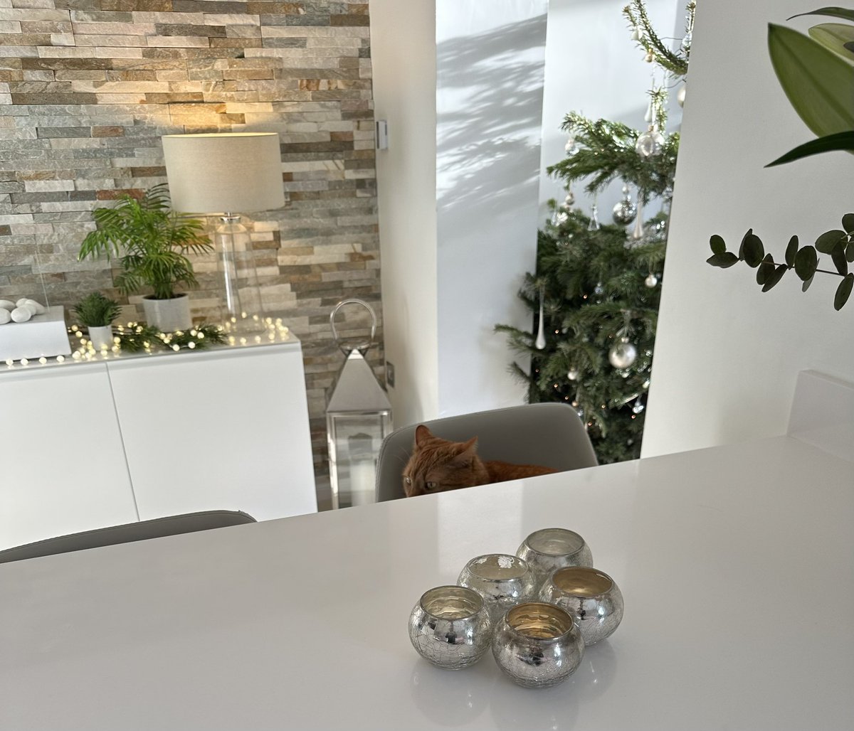 MrRobTaylor's tweet image. Hidden in plain sight